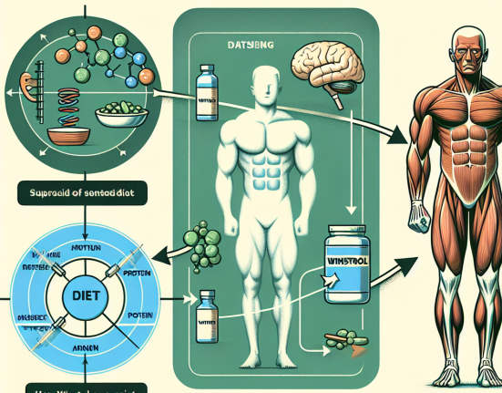 Muskelerhalt während der Diät: Wie Winstrol unterstützen kann