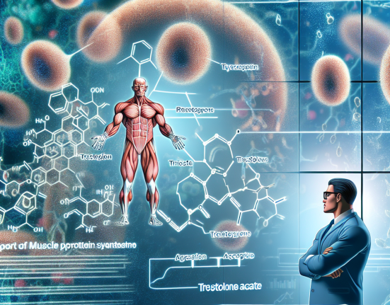 Unterstützung der Muskelproteinsynthese durch Trestolone acetate: Ein Experteneinblick