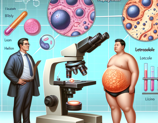 Einfluss auf Fettzellproliferation: Adipogenesehemmung unter Letrozol